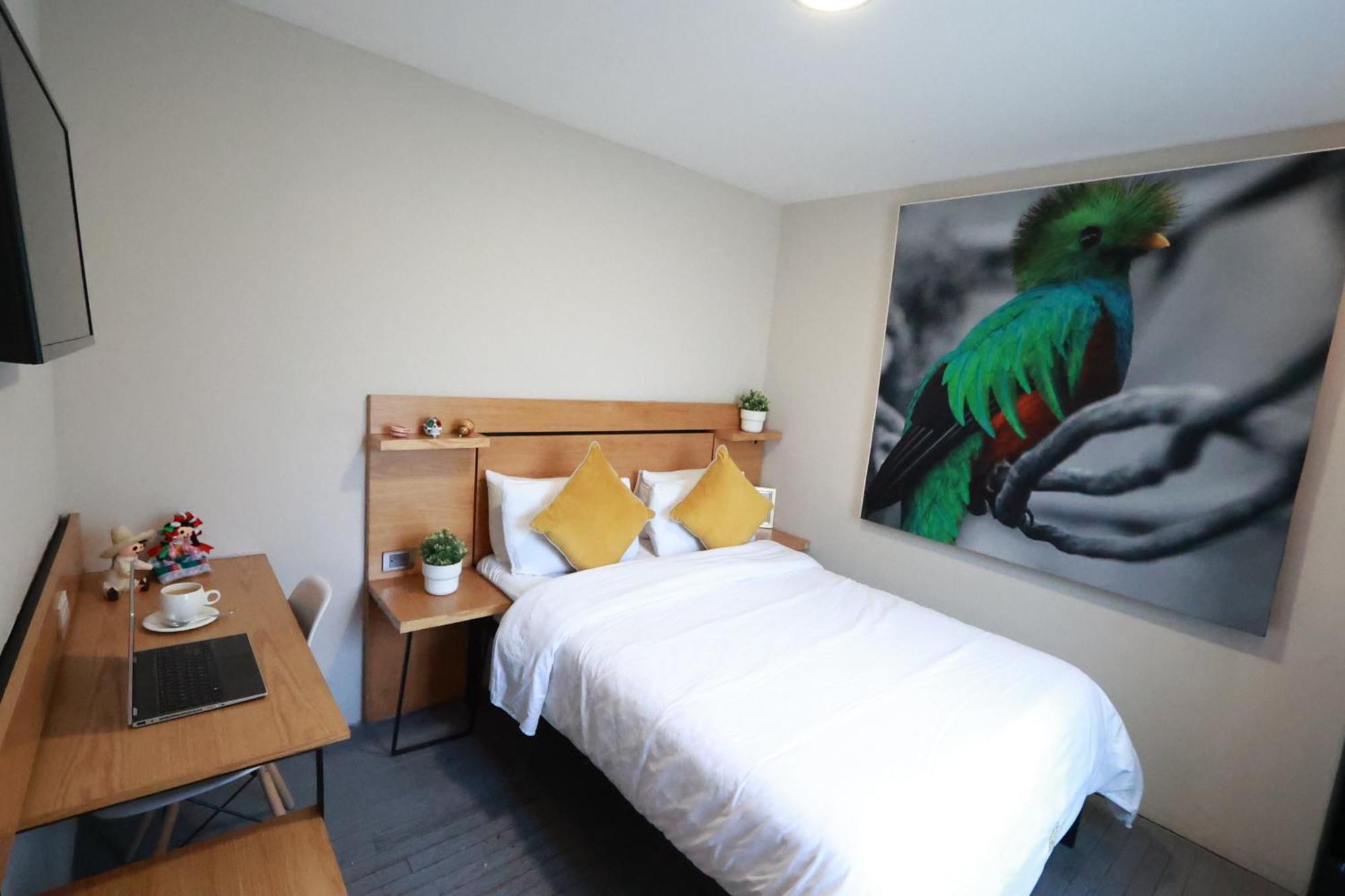 Casa Panuco Bed & Breakfast Мексико Сити Екстериор снимка